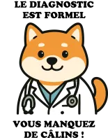 Image principale de Docteur Shiba