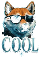 Image principale de Shiba Cool