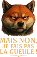 Image principale de Un Shiba en colère...