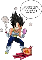 Image principale de Astuce pour se coiffer le matin !