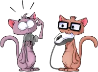 Image principale de Chat geek :)
