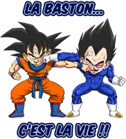 Image principale de La Baston, c'est la Vie !
