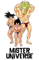 Image principale de Le grand Concours de Mister Univers !