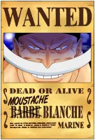 Image principale de Le Wanted secret... :)