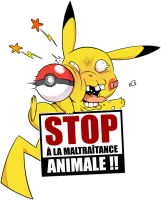 Image principale de Stop à la Maltraitance animale !!