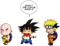 Image principale de Tortue ninja !?