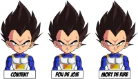 Image principale de Un jeu d'acteur de niveau princier