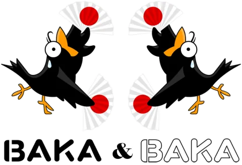 Baka Baka Fiesta (Version DUO !)