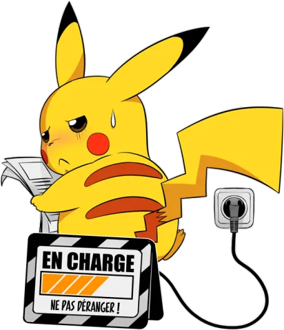 En Charge... Ne pas déranger !