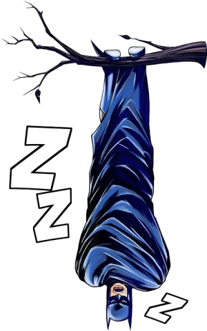 The Night Knight :)