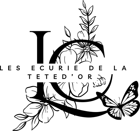 f_3d463e1fd356.png