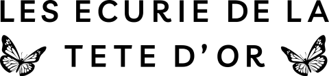 f_560f30e993c6.png